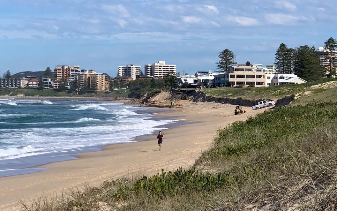 Chronicle Counsel: Local tourism operators to benefit from training and online services