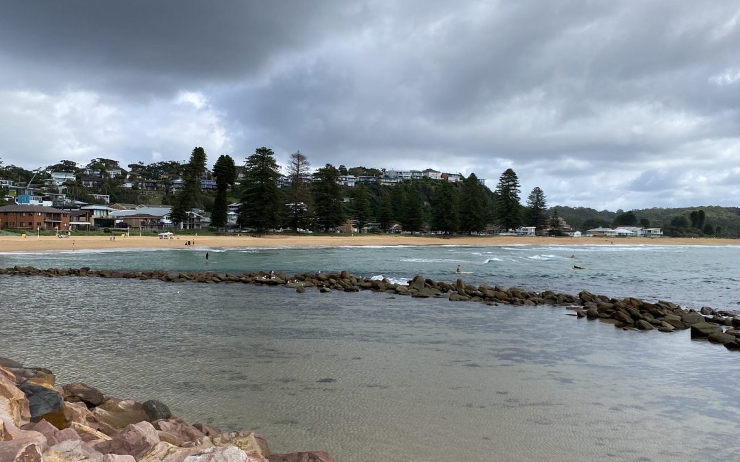 Chronicle Counsel: Funding Streams open to Central Coast Tourism Operators