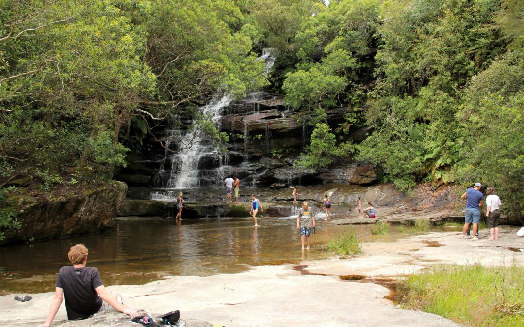 Chronicle Counsel: Somersby Falls to get upgrade